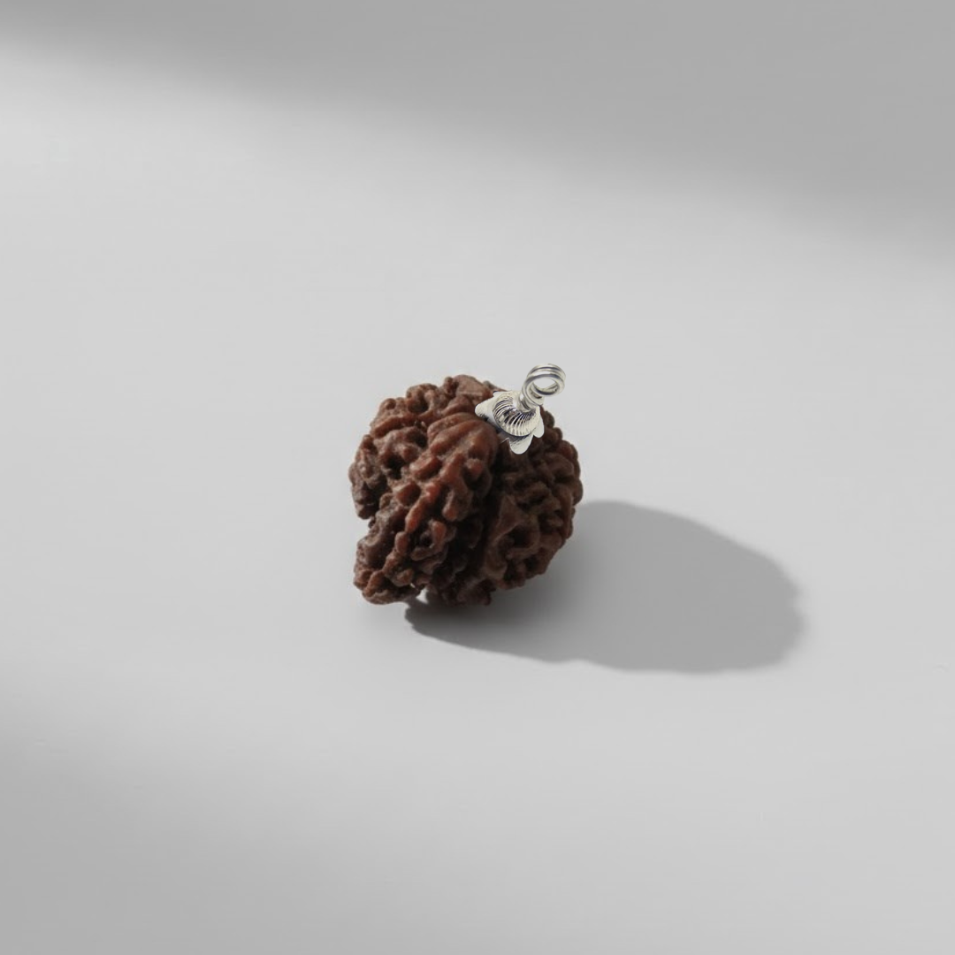 1 Mukhi Rudraksh (Nepali)