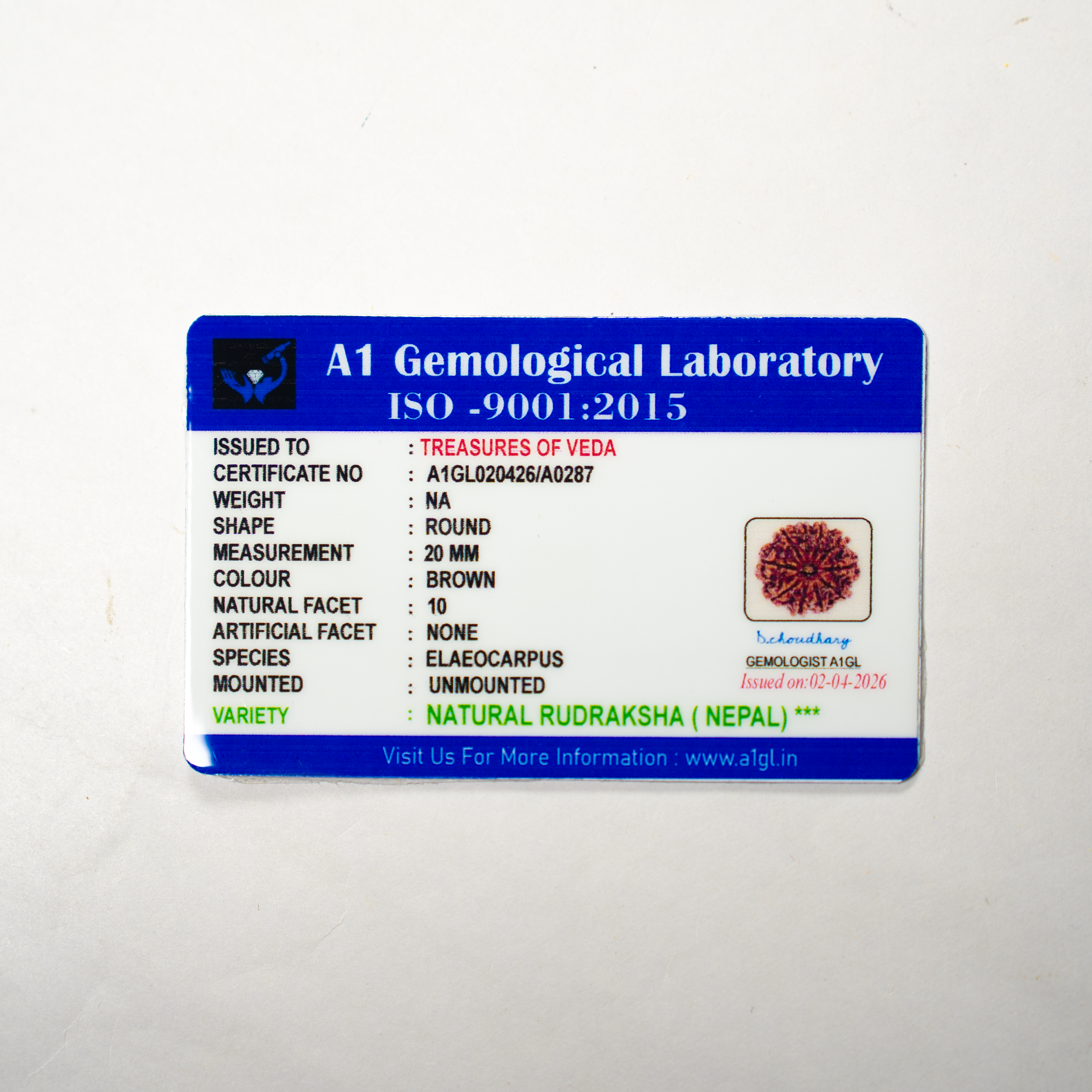 10 Mukhi Rudraksh (Nepali)