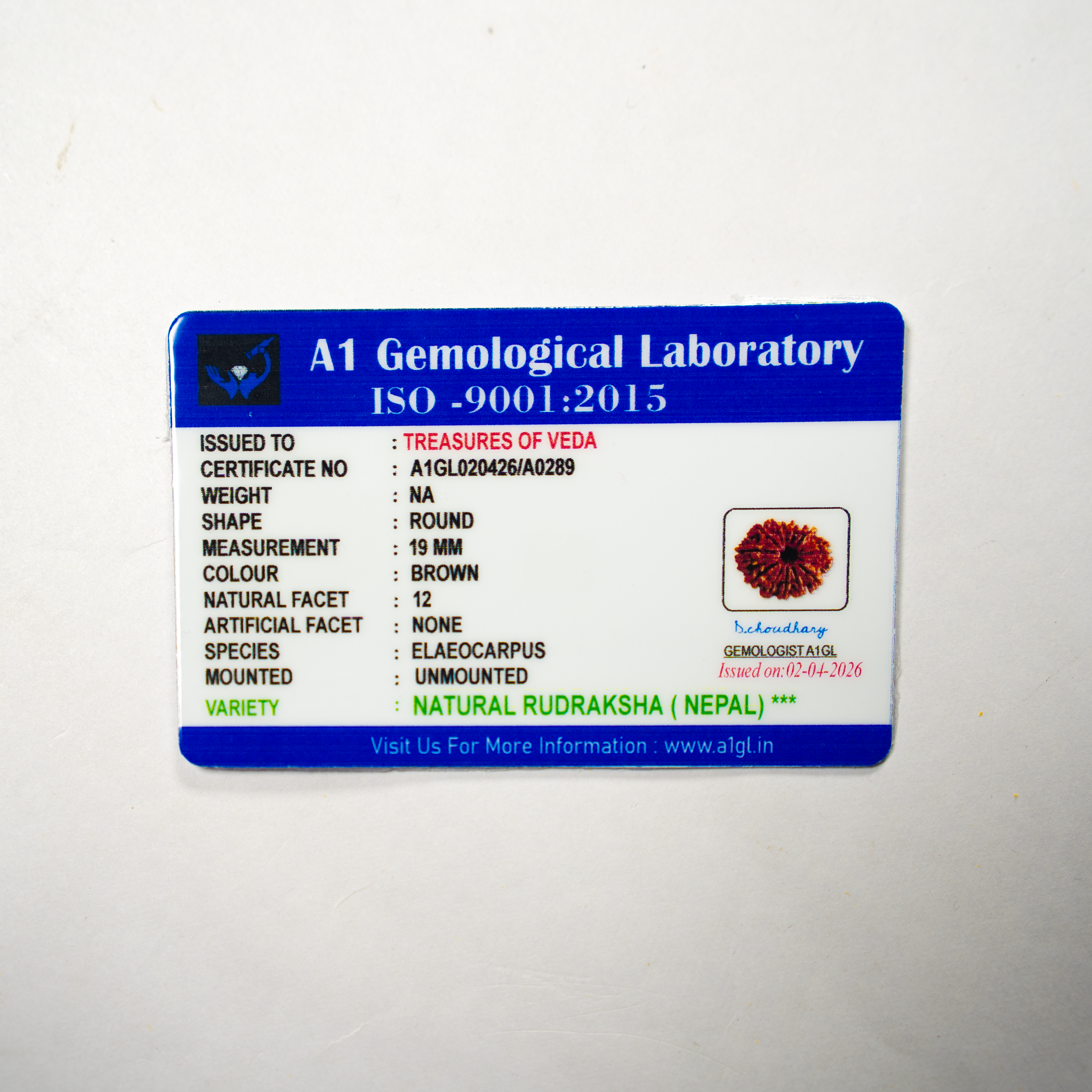 12 Mukhi Rudraksh (Nepali)