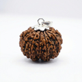 12 Mukhi Rudraksh (Nepali)