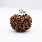 12 Mukhi Rudraksh (Nepali)