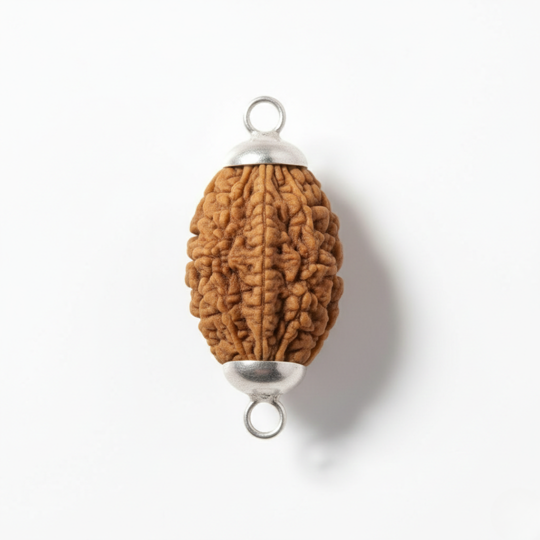 2 Mukhi Rudraksh (Nepali)
