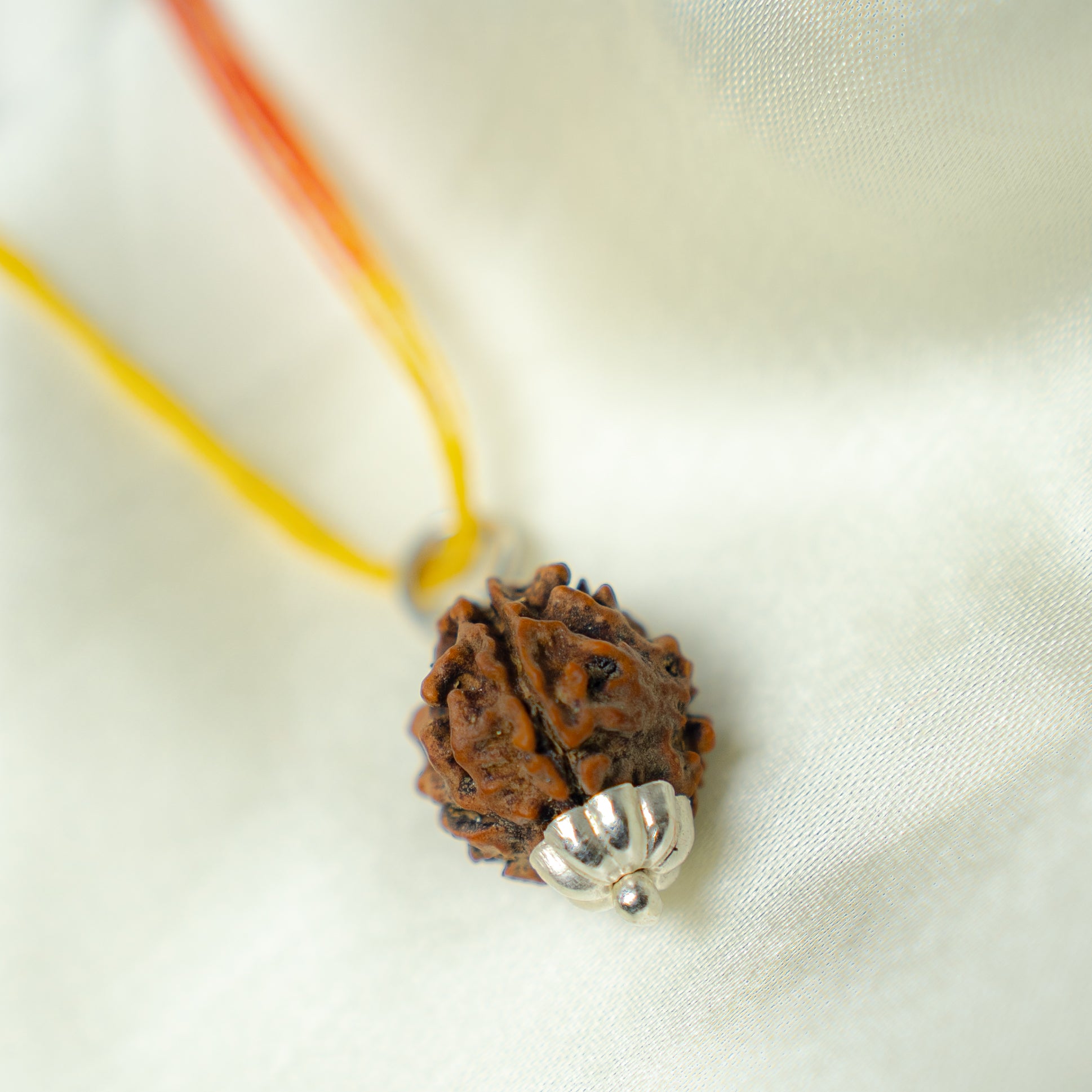 3 Mukhi Rudraksh (Nepali)