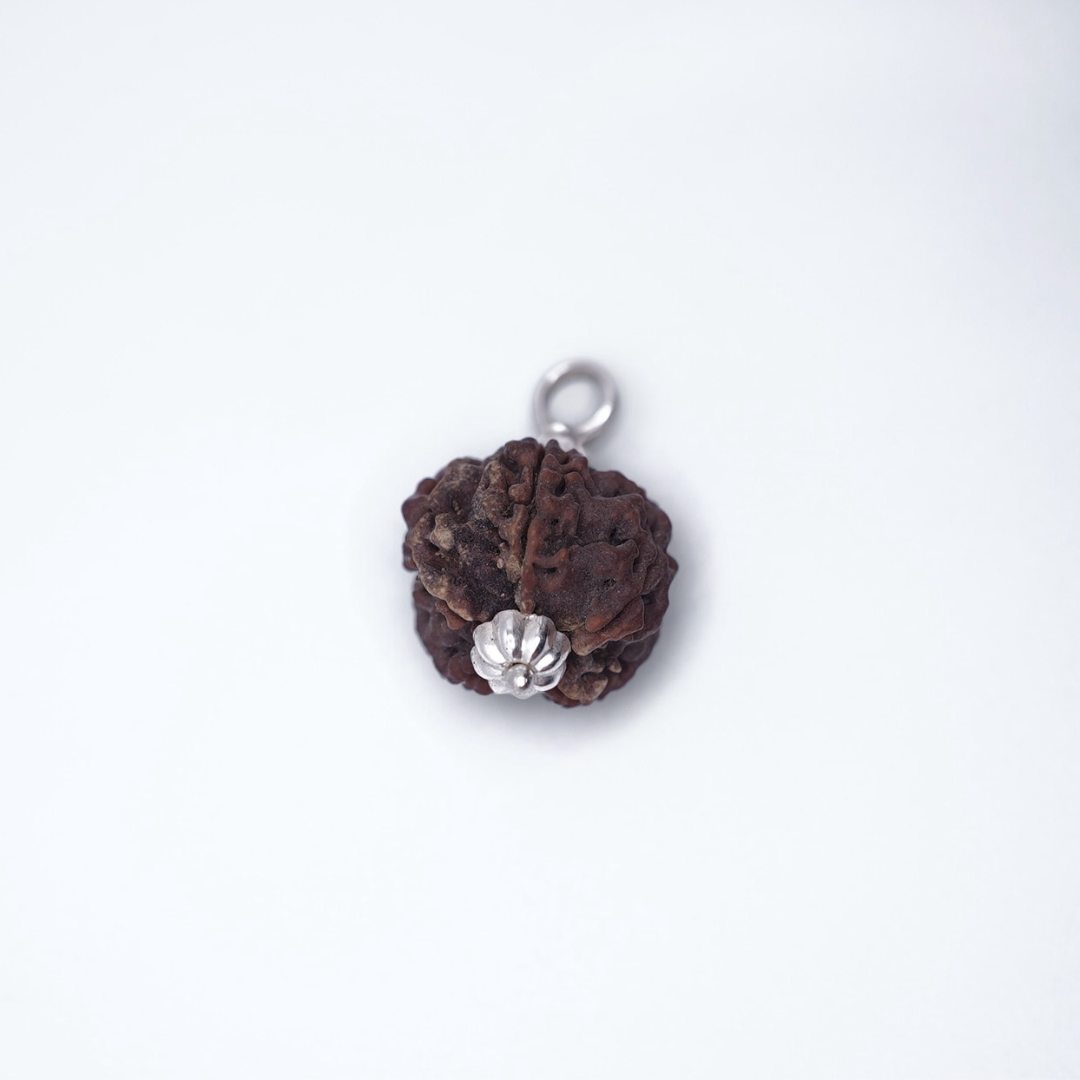 5 Mukhi Rudraksh (Nepali)