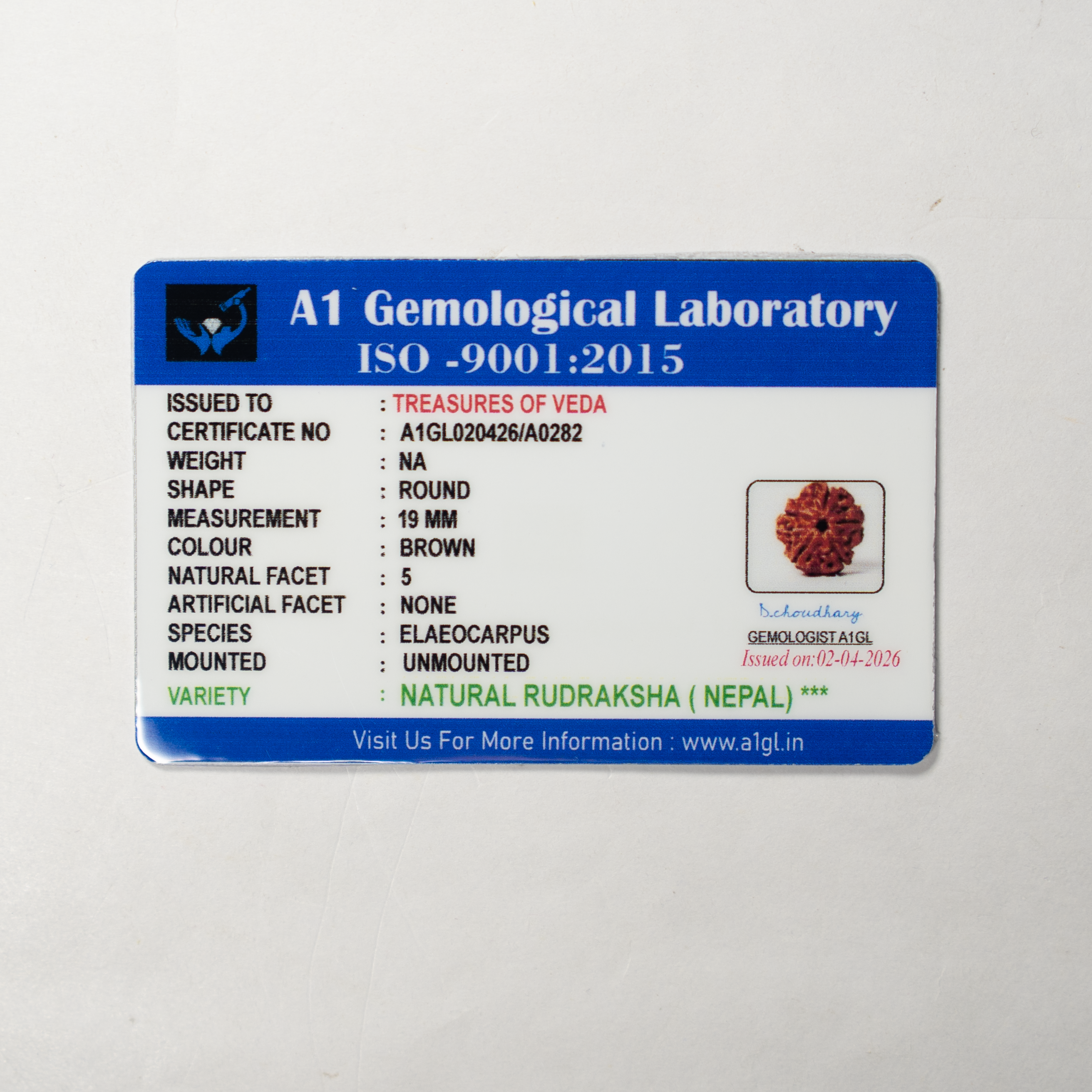 5 Mukhi Rudraksh (Nepali)