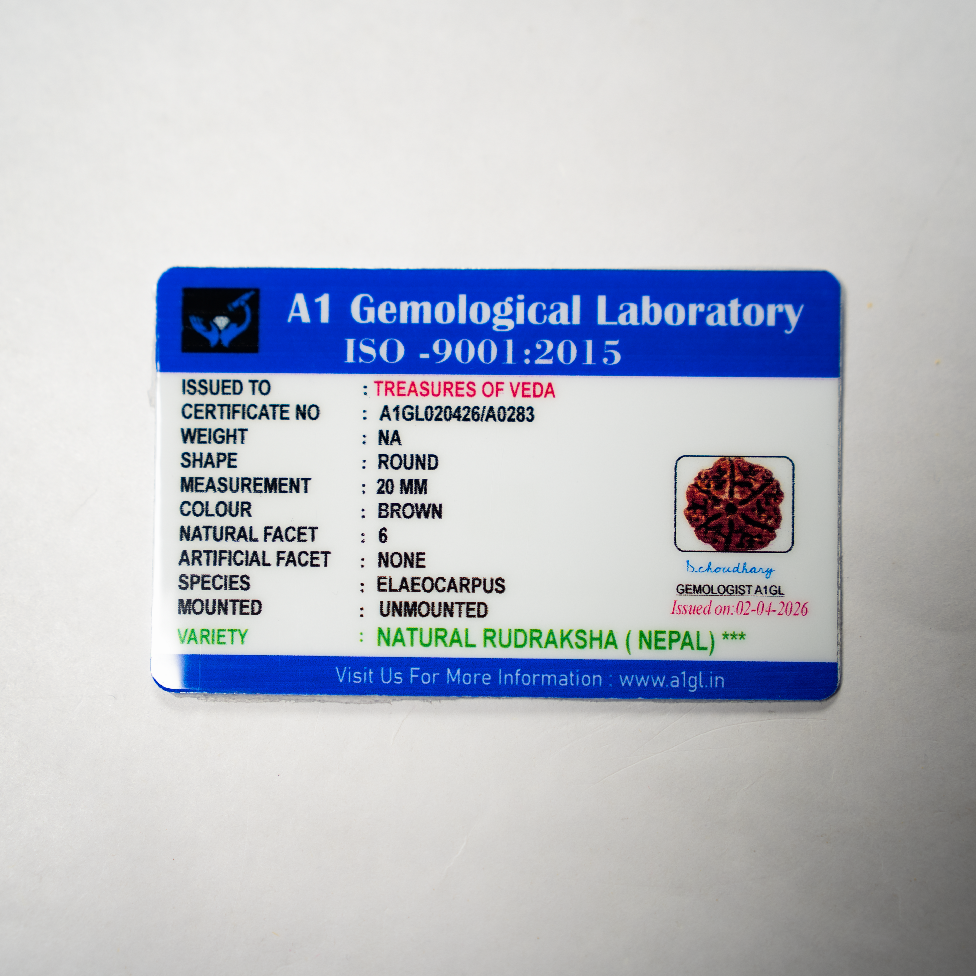 6 Mukhi Rudraksh (Nepali)