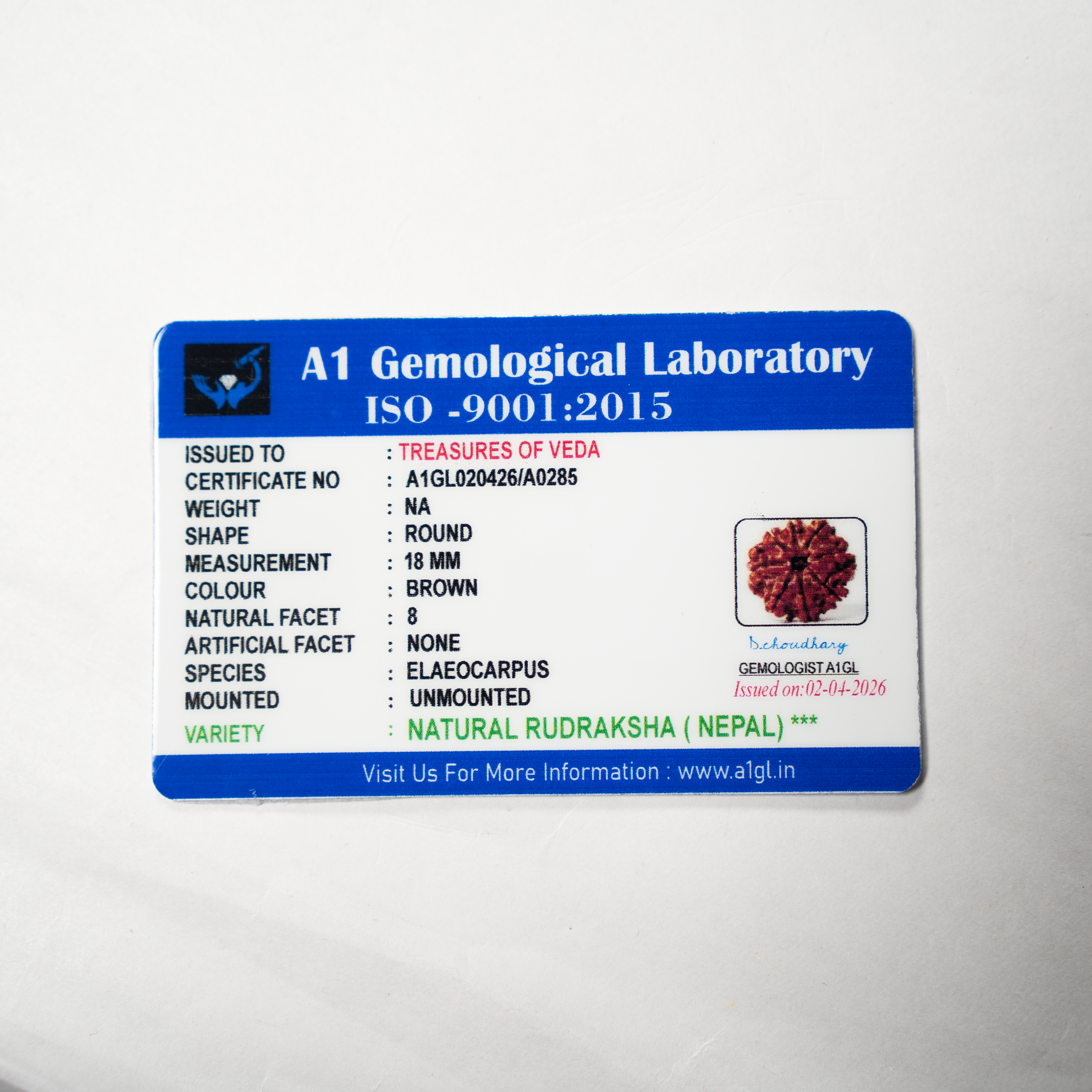 8 Mukhi Rudraksh (Nepali)