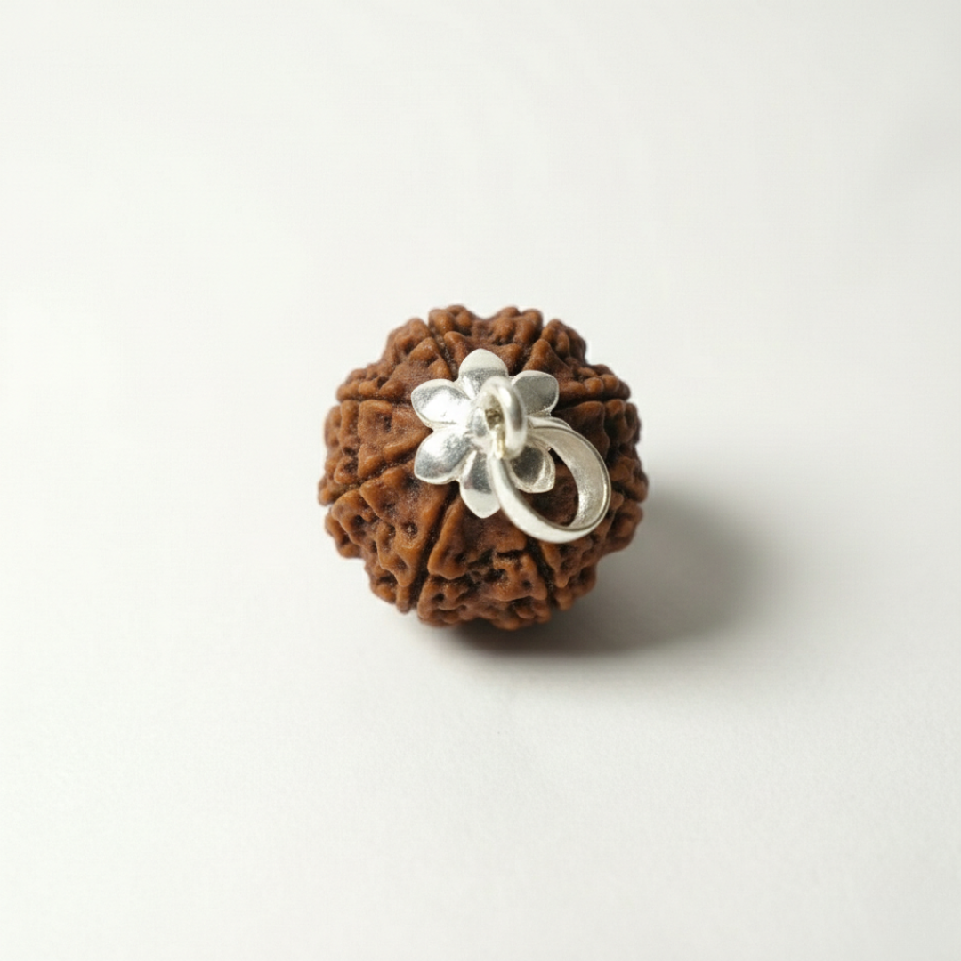 9 Mukhi Rudraksh (Nepali)