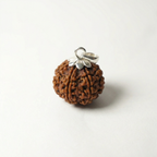 9 Mukhi Rudraksh (Nepali)