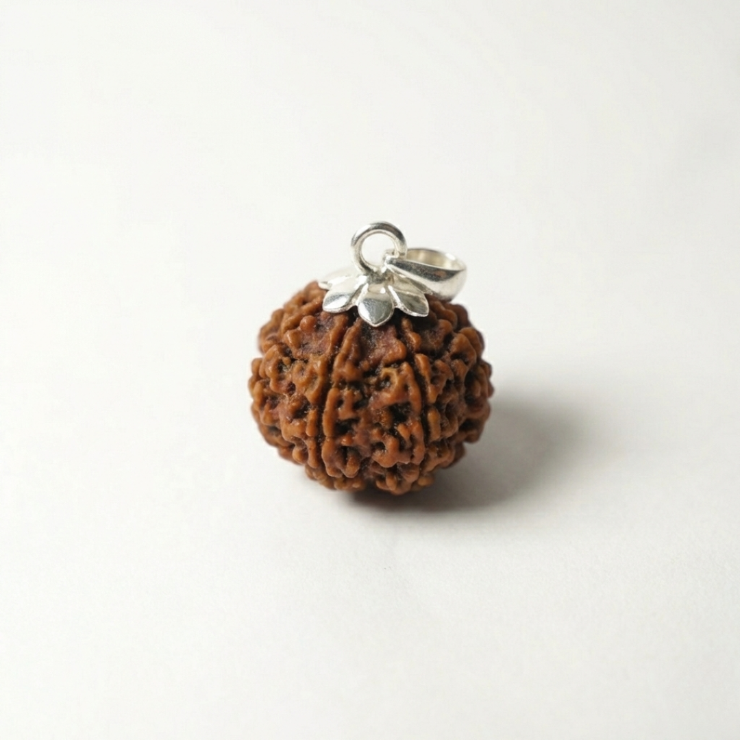 9 Mukhi Rudraksh (Nepali)