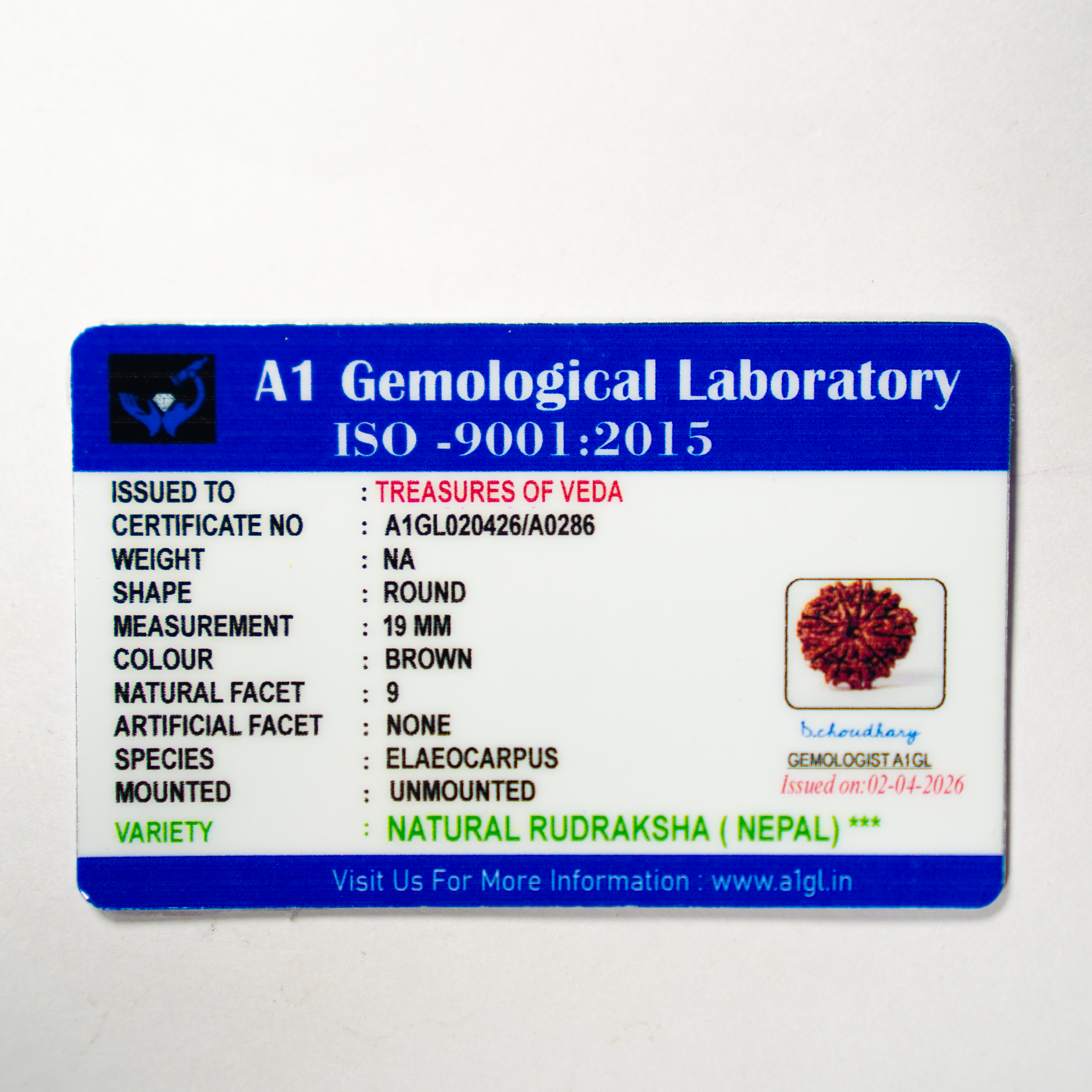 9 Mukhi Rudraksh (Nepali)